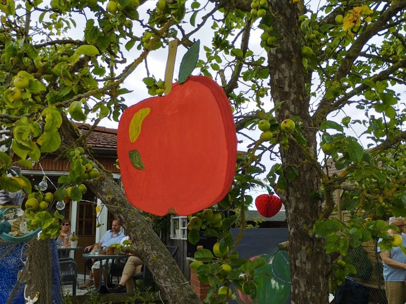 1692028010902 Kunstfest unterm Apfelbaum in Fuhlendorf